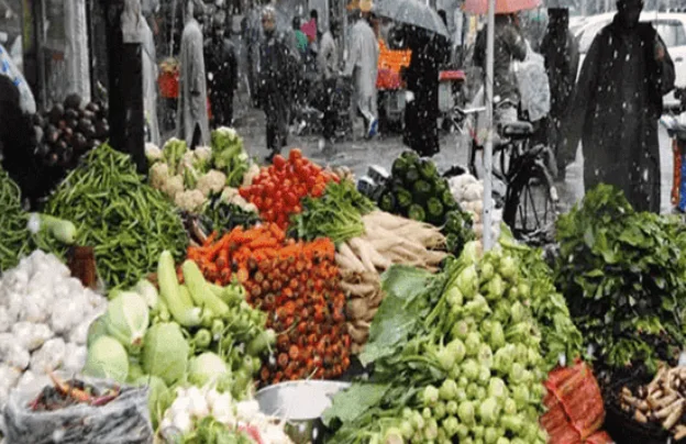 Field Visit to Azadpur Sabji Mandi